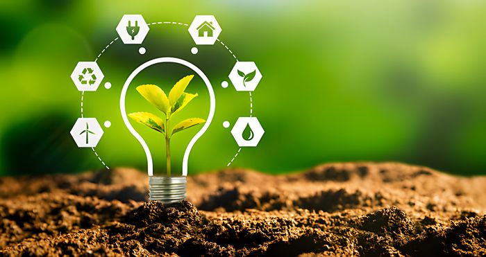 Anhui Sealong Biotechnology Co., Ltd